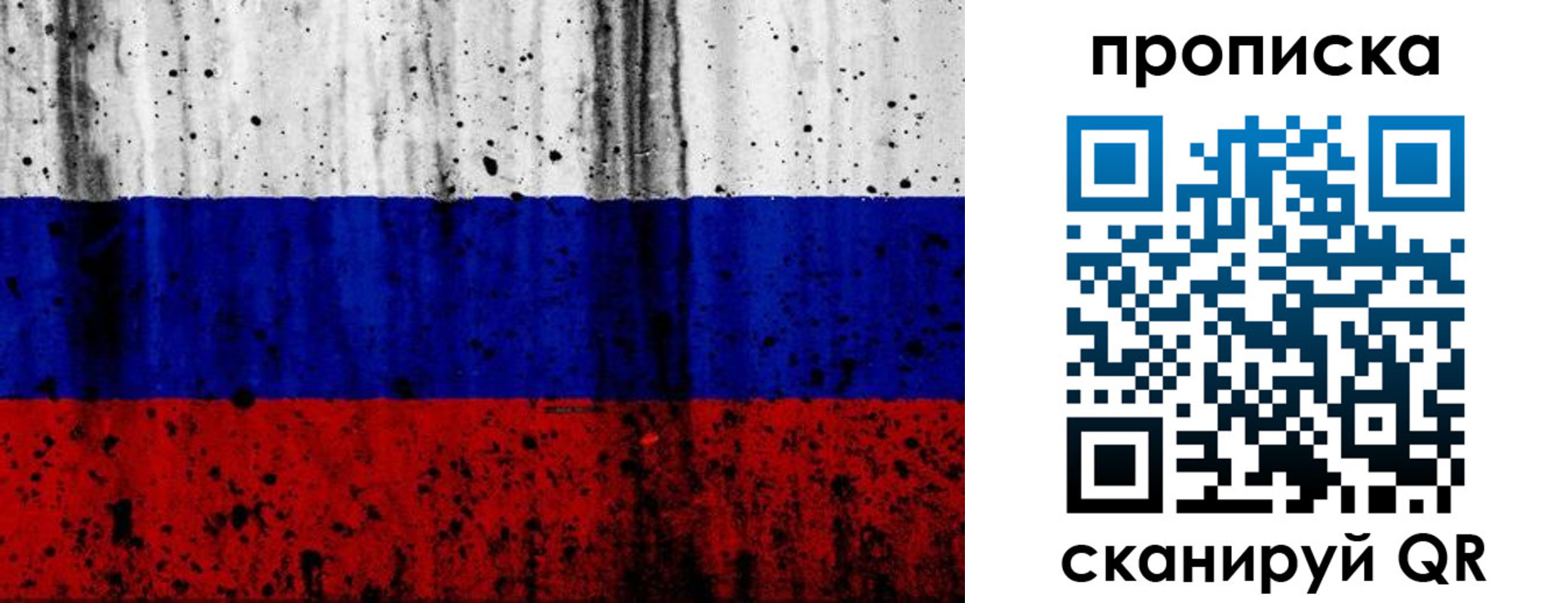 прописка поиск в Болотном